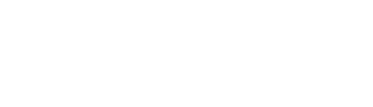 Cambium Networks Wi-Fi Point to Point