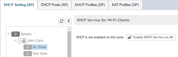 Ruckus DHCP Service