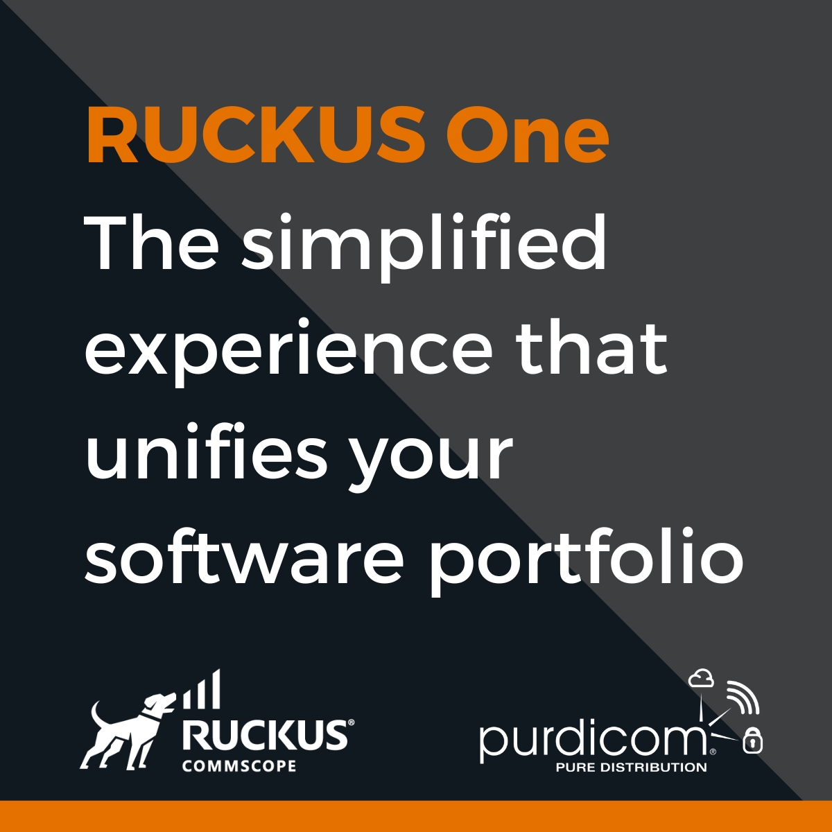 Ruckus One Network Management