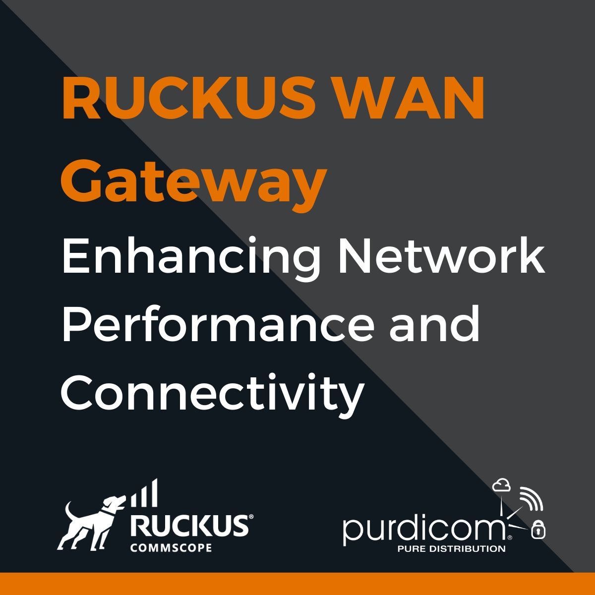 RUCKUS WAN Gateway Distributor