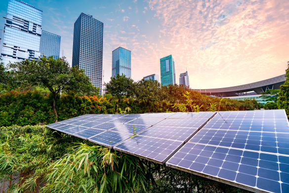 Sustainability and Corporate Responsibility Sustainability and Corporate Responsibility